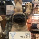 와이헤어 이미지