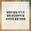댕댕이묭실