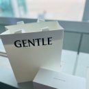 젠틀바 | 2026 신상 젠틀몬스터 GENT 01 플랫바 선글라스 면세점 내돈내산 구매 솔직 후기