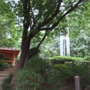봉제산 장수동산 화장실 | 초록빛 능선 따라 걷는 길, 담소터에서 봉제산 건강계단까지