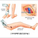 위대항맥외과의원 이미지