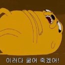 오늘;돈까스 Daum카페