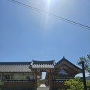 [26.05.10.]경주 '대추밭백한의원' 노광고 내돈내산 4대 원장님 진료 후기