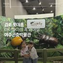 김포 롯데몰 여수곤충박물관 내돈내산 후기, 아이가 정말 좋아했어요