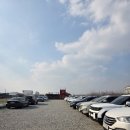 다목적광장 야영장 | [천안] 은행나무 길, 11월 은행나무 막차, 은행나무 길 공영자전거, 은행나무 길 주차, 경기도 주변...