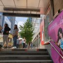 평야빌딩(다비치안경) | 명동 안경 여기에 진짜 있을 건 다 있음! 다비치안경 명동점 방문후기