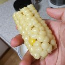 어부네농장 | 요새 농산물 구매에 재미붙였...(+구매후기)