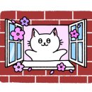 카페빌리 - 성남시 중원구 산성대로 574 | 카페빌리