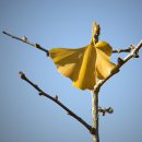 바람아래 이미지