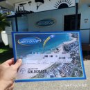 여행] 골드코스트 해변 스카이다이빙 후기 - 골드코스트 탠덤 스카이다이브(Goldcoast Tandem SkyDive)