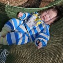 화순목장 이미지