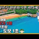 바다 도보 1초. 바닷가 1열. 저렴한 영구조망 매매 오션뷰 전원주택 토지 땅. 풀빌라 펜션 카페 이미지