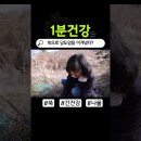 인진사이언스 네이버블로그