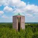 숲속골프 이미지