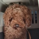 상동 행정복지센터 이미지