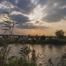 화명생태공원 오토캠핑장 이미지