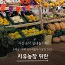 다들바위 치유농장 | 김포 농부체험 아이랑 실내놀거리 치유농장 뒤란 땅콩캐기 내돈내산후기