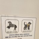 아인스동물병원 이미지