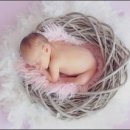 일등 자동차 이미지