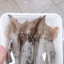 동해하나로마트 이미지