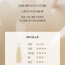 디자인지평 | 지평탁주 막걸리 후기 🍶 찹쌀 3배 들어간 걸쭉한 프리미엄 막걸리