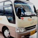 비자림의 아침 이미지