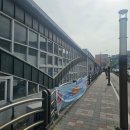 리얼오징어 | 가볼만한곳] 묵호항 찐맛집 '거동탕수육' 리얼문어탕수육+통오징어짬뽕 대만족 후기 (주차 팁) 내돈내