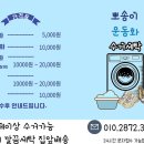 반짝반짝운동화손세탁 이미지