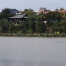 영천 귀애정 이미지