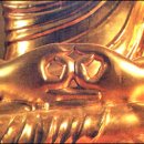 부처님의 손모습手印 이미지