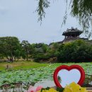 세븐일레븐 수원천로점 | [수원] 용연 피크닉 세트 대여는 안녕피크닉숲