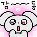 시화리라유치원 이미지