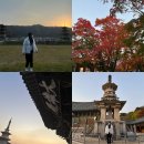 양남 주상절리 파도소리길, 감은사지, 진주냉면남가옥, 문토스트, 양남 주상절리점, 불국사 (21.11.14)