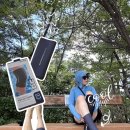 등산 운동 아이싱팩 스케쳐스 젤스리브 쿨링팩 냉찜질팩 후기