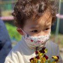 원광어린이집 앞 이미지