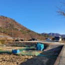 거제시롤러경기장 | 이런 땅 당신이라면 어떻게해요? (공매 2012-022213-729 현장임장 후기)