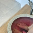 베이직 바디