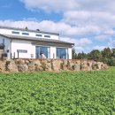 제주 평온스테이 이미지