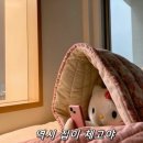 90 | 리셋90 내돈내산 솔직후기!