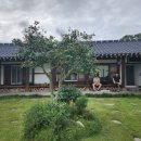 달이뜨면꽃이피고 이미지