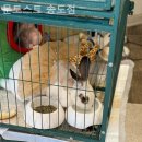 문토스트 송도점 이미지