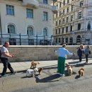 한소쿰 | [스프헝8] 헝가리 여행 2일차 - 헝가리쿰 비스트로, 뉴욕카페, 랑고쉬 맛집 추천, 심플러커트