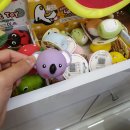 (주)포파코 | "폴리파크" 목련시장점/애견용품점 다녀왔어요👧