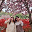 꽃동산분식