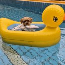 한별 반려동물 장례식장 이미지