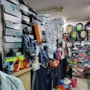 영스포츠 이미지