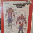 디짐 | 수원 고색동 PT 맛집 발견! 봄맞이 몸관리 제대로 시작, 디짐 헬스&amp;PT 솔직 후기