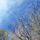 야시골공원 이미지