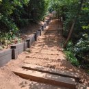 상도근린공원 산책로 이미지