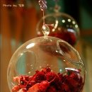 서일여행 이미지